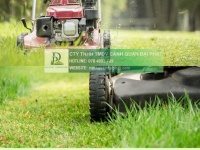 DỊCH VỤ BẢO DƯỠNG CẢNH QUAN KCN BIÊN HÒA: GIẢI PHÁP TIẾT KIỆM - UY TÍN 2025