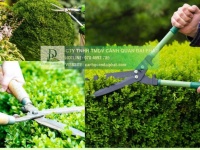 DỊCH VỤ BẢO DƯỠNG CẢNH QUAN KCN BIÊN HÒA: GIẢI PHÁP TIẾT KIỆM - UY TÍN 2025