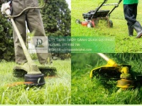 DỊCH VỤ BẢO DƯỠNG CẢNH QUAN KCN BIÊN HÒA: GIẢI PHÁP TIẾT KIỆM - UY TÍN 2025