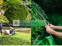 DỊCH VỤ CHĂM SÓC CẢNH QUAN KCN LỘC AN BÌNH SƠN TRỌN GÓI - GIÁ ƯU ĐÃI