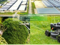 DỊCH VỤ CHĂM SÓC CẢNH QUAN KCN VSIP 1 BÌNH DƯƠNG TRỌN GÓI DPL 