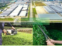 DỊCH VỤ CHĂM SÓC CẢNH QUAN KCN VSIP 1 BÌNH DƯƠNG TRỌN GÓI DPL 