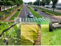 DỊCH VỤ CHĂM SÓC CẢNH QUAN KCN VSIP 1 BÌNH DƯƠNG TRỌN GÓI DPL 