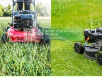 DỊCH VỤ CẮT CỎ KHU CÔNG NGHIỆP CHUYÊN NGHIỆP