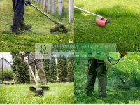 Cắt Cỏ Phát Hoang Giá Rẻ, Chuyên Nghiệp Đồng Nai, TPHCM, Bình Dương, Long An