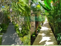 Bảo dưỡng cảnh quan nhà hàng khách sạn biệt thự thủ đức,tphcm