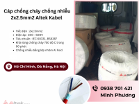 Cáp chống cháy chống nhiễu Altek Kabel 2x2.5mm2 Đà Nẵng, Huế, Thanh Hóa