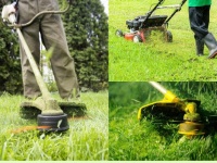 Dịch Vụ Chăm Sóc Cây Xanh Nội Thất & Ngoại Thất Tại TP.HCM