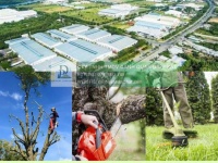 DỊCH VỤ BẢO TRÌ CẢNH QUAN TẠI ĐỒNG NAI 078 4992 789