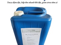 DK YUCCA LIQUID – CHIẾT XUẤT YUCCA DẠNG LỎNG DÙNG TRONG NUÔI TRỒNG THỦY SẢN