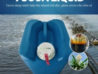 DK YUCCA LIQUID – CHIẾT XUẤT YUCCA DẠNG LỎNG DÙNG TRONG NUÔI TRỒNG THỦY SẢN