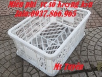 Rổ nhựa HPDE, sóng nhựa hở, sọt nhựa tại Long Biên, sọt đựng nông sản