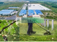 DỊCH VỤ CẮT CỎ KCN CHÂU ĐỨC BÀ RỊA VŨNG TÀU