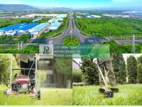 DỊCH VỤ CẮT CỎ KCN CHÂU ĐỨC BÀ RỊA VŨNG TÀU