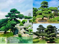 Thi Công Cảnh Quan Sân Vườn Biệt Thự Trọn Gói – Liên Hệ Ngay Để Nhận Báo Giá