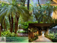 CHĂM SÓC CÂY XANH TRUNG TÂM THƯƠNG MẠI