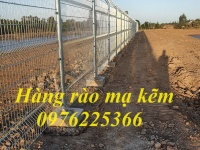 Hàng rào mạ kẽm nhúng nóng D5A50x200