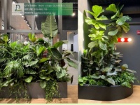 DỊCH VỤ THIẾT KẾ & THI CÔNG CÂY XANH CÔNG TRÌNH THƯƠNG MẠI TẠI TP.HCM