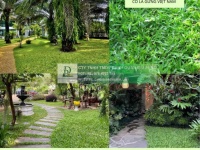 Thi công cây xanh – thảm cỏ công trình tại Đồng Nai, Bình Dương, TPHCM, Vũng Tàu,...