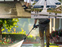 Báo giá cho thuê nhân công chăm sóc cây xanh mới nhất 2026