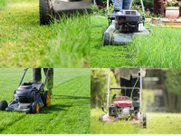 Báo giá cắt cỏ, cắt tỉa, chăm sóc cây xanh Đồng Nai mới nhất 2026