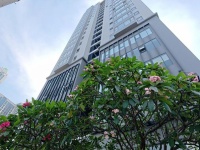 Giá 66 triệu/m2 ở liền mặt tiền đường Nguyễn Văn Linh quận 7 Zalo 0704056251