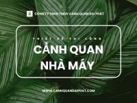 Thi công cảnh quan nhà máy Đồng Nai, TPHCM