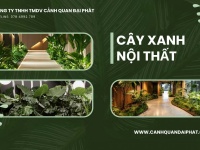 Thi công cảnh quan nhà máy Đồng Nai, TPHCM