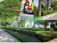 Cắt Tỉa Tạo Hình Cây Xanh Đồng Nai