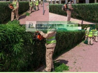 Đội ngũ Chăm sóc cảnh quan định kỳ Nhà máy Đồng Nai Chuyên nghiệp