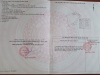 Bán 7692 m² đất xã Long Tân, Đất Đỏ, Bà Rịa – Vũng Tàu giá 3 tỷ/sào