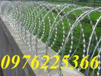 Dây thép gai inox 304 đường kính D30, D45, D50, D60, D80