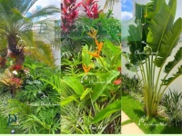 Thiết Kế Thi Công Cảnh Quan Sân Vườn Nhiệt Đới 2026