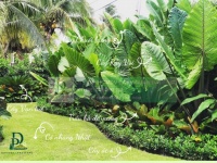 Thiết Kế Thi Công Cảnh Quan Sân Vườn Nhiệt Đới 2026
