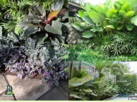 Thiết kế thi công cảnh quan sân vườn mới nhất 2026