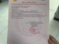 ► MẶT TIỀN KINH DOANH HIẾM – LÊ QUANG ĐỊNH (ĐH406)