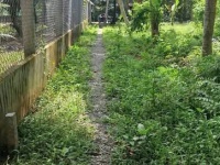 CẦN THANH LÝ GẤP LÔ ĐẤT THỔ CƯ GIÁ TỐT TẠI GIỒNG TRÔM