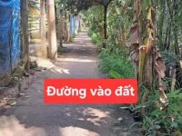 CẦN THANH LÝ GẤP LÔ ĐẤT THỔ CƯ GIÁ TỐT TẠI GIỒNG TRÔM