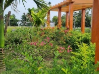 ĐẤT ĐẸP – GIÁ TỐT  – CHÍNH CHỦ CẦN BÁN Lk 8-38, Dự án Dic Hậu Giang - TP Vị Thanh