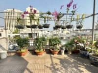 Bán Nhà Hẻm 666  Ba Tháng Hai - thông Lý Thường Kiệt, 5,1x19m, 5 Tầng, 1 đời chủ, 25,9 tỷ.