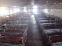 ĐẤT  ĐẸP- GIÁ TỐT- CẦN BÁN NHANH ĐẤT tại Xã Phúc Thọ, Lâm Hà, Lâm Đồng