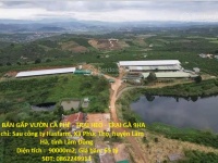 ĐẤT  ĐẸP- GIÁ TỐT- CẦN BÁN NHANH ĐẤT tại Xã Phúc Thọ, Lâm Hà, Lâm Đồng