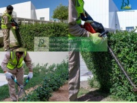 Dịch vụ cắt cỏ – cắt tỉa cây xanh định kỳ giá rẻ KCN Long Đức, Đồng Nai