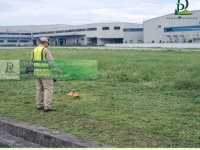 Dịch vụ cắt cỏ, dọn dẹp cảnh quan công ty, nhà xưởng tại Đồng Nai