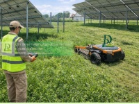 Dịch vụ cắt cỏ, dọn dẹp cảnh quan công ty, nhà xưởng tại Đồng Nai