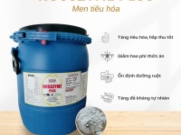 MEN TIÊU HÓA ROSSZYME PLUS