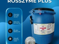 MEN TIÊU HÓA ROSSZYME PLUS