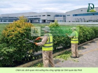 Cắt cỏ, cắt tỉa, vệ sinh cảnh quan nhà máy và KCN Đồng Nai