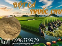 Bột Cá – Nguyên Liệu Đa Năng Cho Sản Xuất Phân Bón, Thuốc Diệt Ốc Bươu Vàng, Thuốc Diệt Chuột