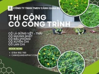  Thi công cỏ công trình chuyên nghiệp – đa dạng chủng loại, phủ xanh bền đẹp